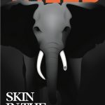 Skin in the Game: Hidden Assymetries in Daily Life