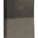 KJV, Value Thinline Bible, Large Print, Imitation Leather, Gray, Red Letter Edition