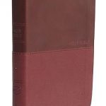 NKJV, Value Thinline Bible, Compact, Leathersoft, Burgundy, Red Letter Edition, Comfort Print